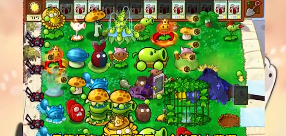 植物大战僵尸盲盒版