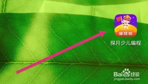 探月少儿编程如何创作游戏1