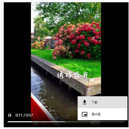 小红书怎么保存视频?4