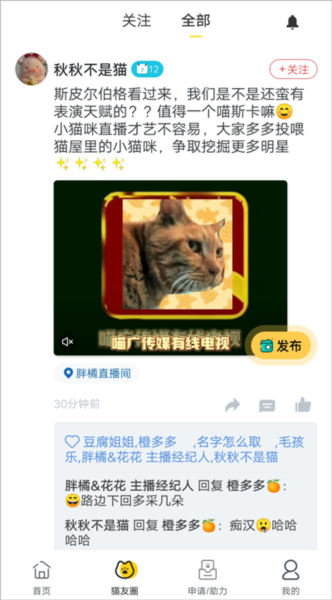 哈啰街猫app如何使用？7