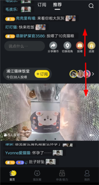 哈啰街猫app如何使用？1