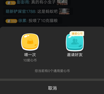 哈啰街猫app如何使用？5